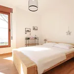 Perla Vacation دراس